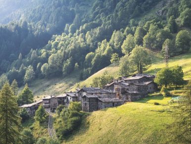 L’Italia è una Nazione Forestale_rapporto foreste in comune